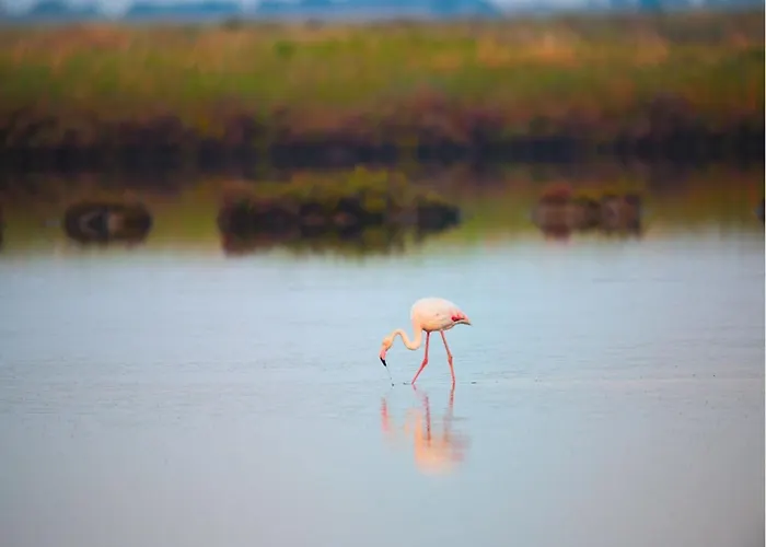 Modern In The Town Centre Appartement *